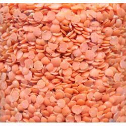 लाल दाल - मसूर