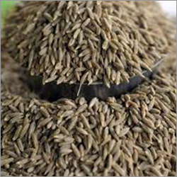 ऑर्गेनिक जीरा