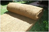 Coir Geotextile 