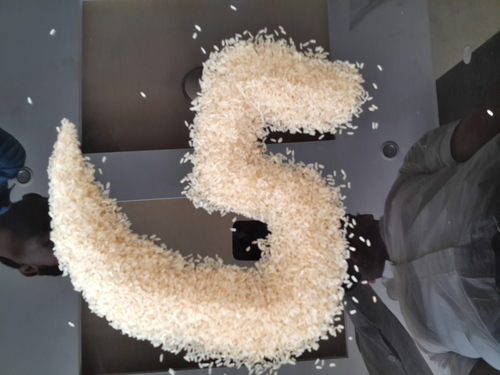 ब्रोकेन चावल