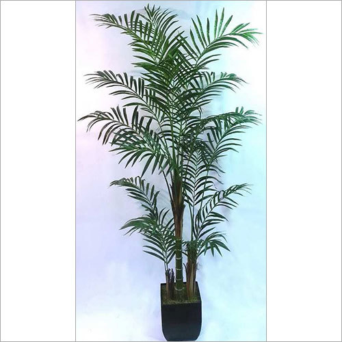 7' ARECA PAM TREE