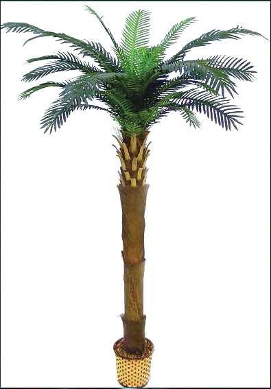 4' CYCUS PAM