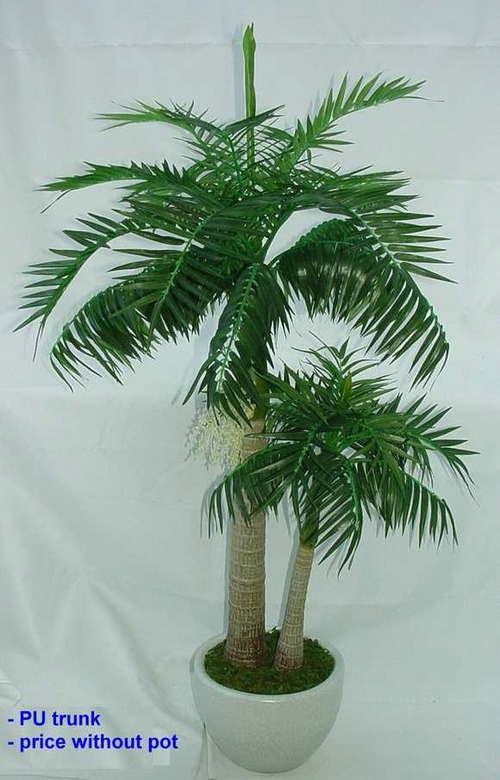 3' MASCARRANA X 2 PLANT