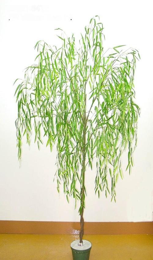 7' WILHO TREE