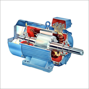 Blue Induction Motor Repairing