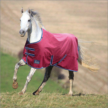 Canvas Horse Rugs