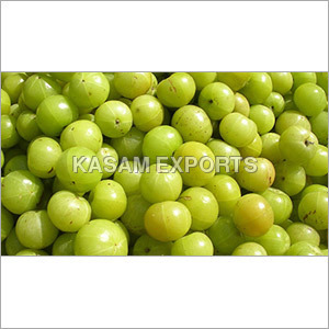 एम्ब्लिका ऑफिसिनैलिस