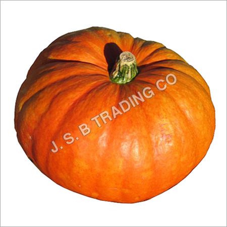 Disco Bhopla (Red Pumpkin)