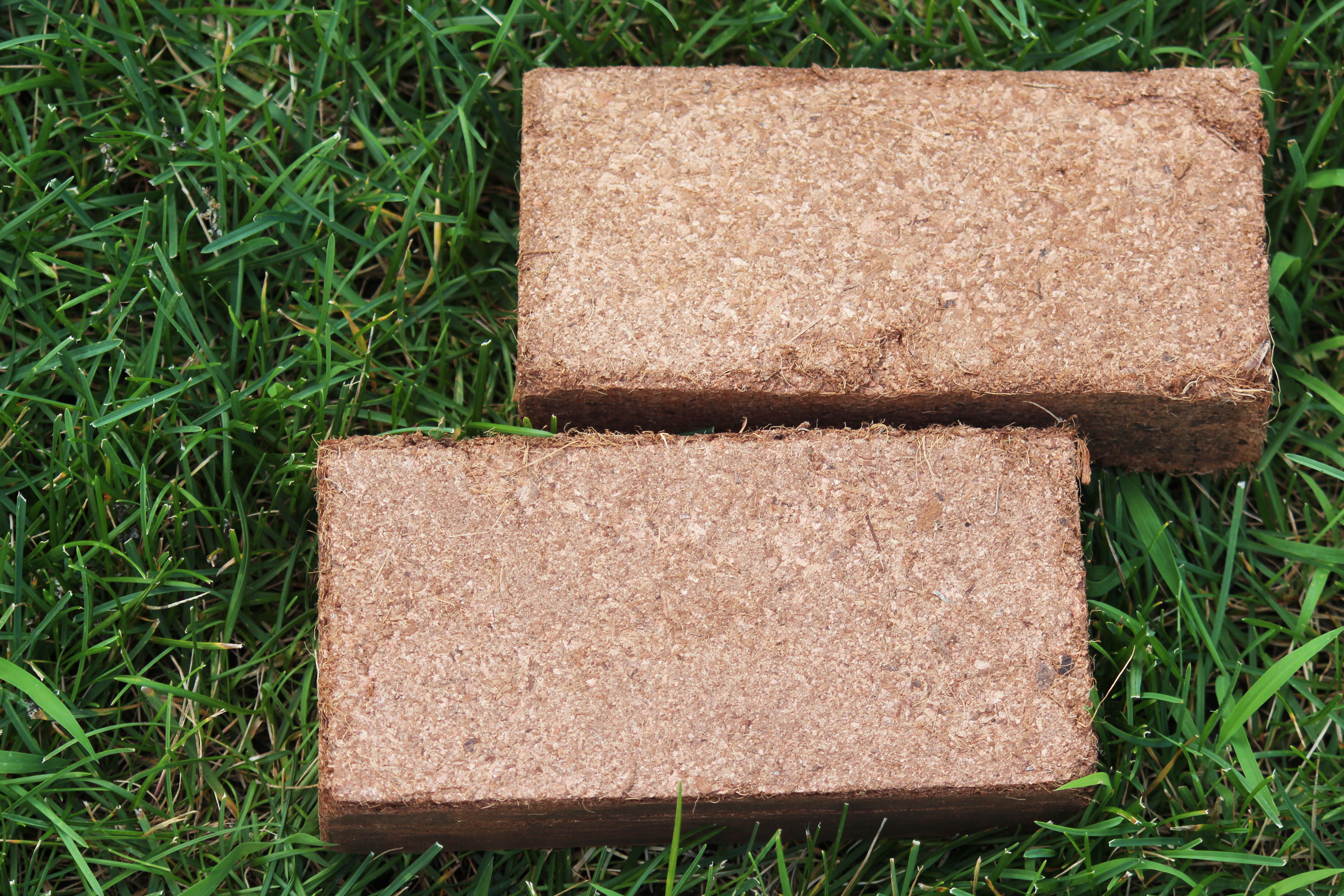 Coco Peat Blocks