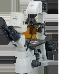  इनवर्टेड टिश्यू कल्चर माइक्रोस्कोप-डी 