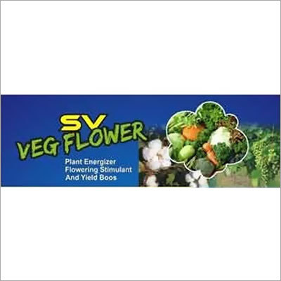 पौधा ऊर्जा बढ़ाने वाला