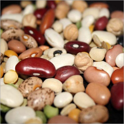 लाल राजमा