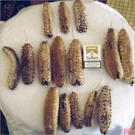 सूखे समुद्री खीरे