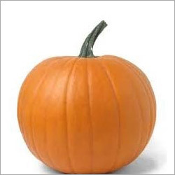 ताजा कद्दू