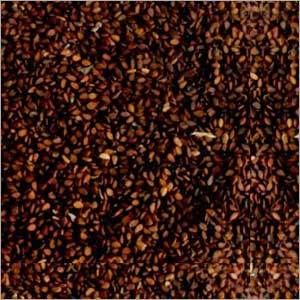 लाल भूरे तिल के बीज