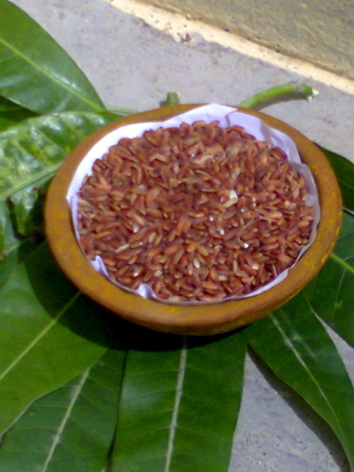 मट्टा चावल