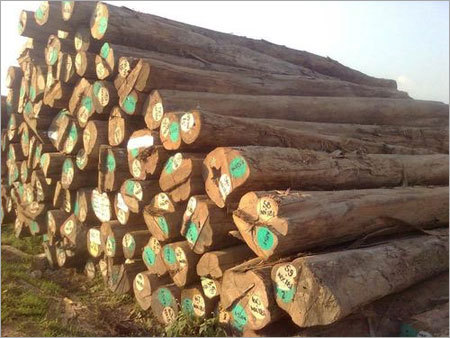 लकड़ी आपूर्तिकर्ता