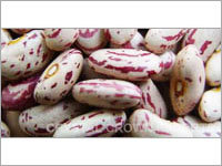 हल्के स्पॉट वाले किडनी बीन्स