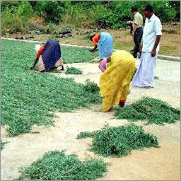 Manufacturing process