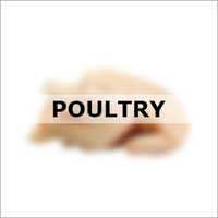 Poultry Meat