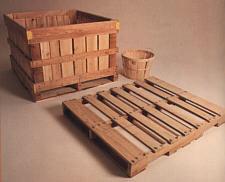 Wooden Pallet