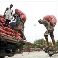 Nashik Onion