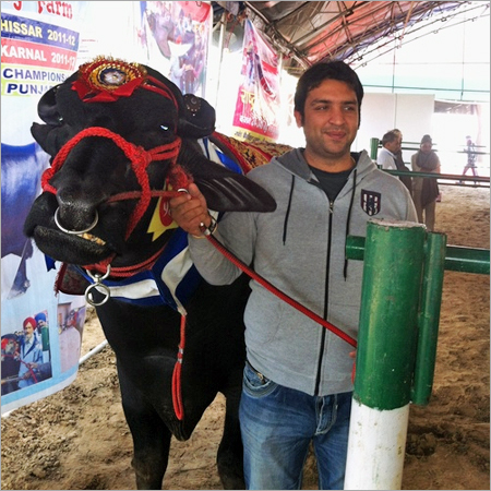 हमारी उपलब्धियाँ