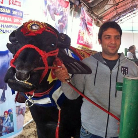 हमारी उपलब्धियाँ