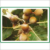 बेहरा सबूत