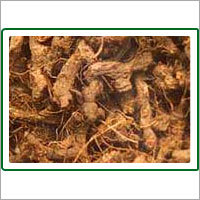 नागर्मोथा