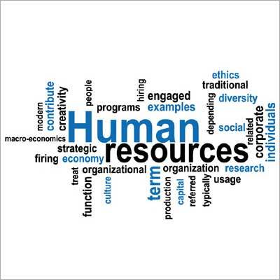 HR Management Web Application Solution