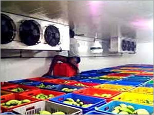 Ripening Room
