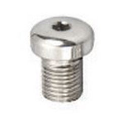 Screw Plug For Femoral Nail