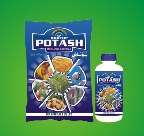 पोटाश गतिशील बैक्टीरिया