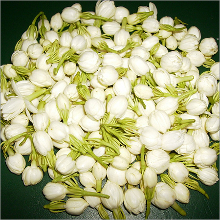 ताज़े चमेली के फूल