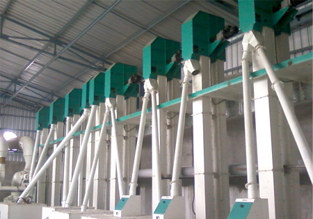 Rice Mill Elevator