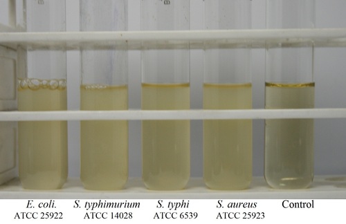 PEPTONE WATER 
