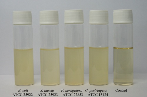 SOYA CASEIN DIGEST MEDIUM (TRYPTONE SOYA BROTH)