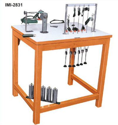 Upper-extremity Exercise Station: Age Group: Elders