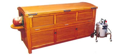 Steam Cabinet With Steam Generator