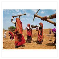 अनुबंध खेती