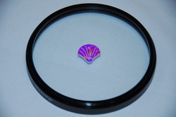 सी शेल सेक्विन अनुप्रयोग: फैशन उद्योग