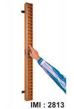 Upper-extremity Exercise Station: Age Group: Elders