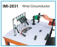 Upper-extremity Exercise Station: Age Group: Elders