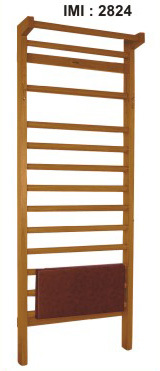 Upper-extremity Exercise Station: Age Group: Elders