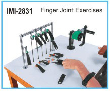 Upper-extremity Exercise Station: Age Group: Elders