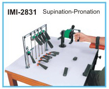 Upper-extremity Exercise Station: Age Group: Elders