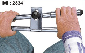 Upper-extremity Exercise Station: Age Group: Elders