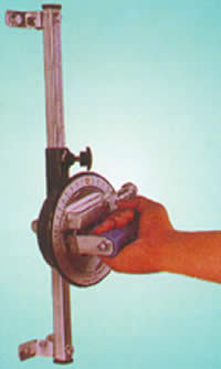 Upper-extremity Exercise Station: Age Group: Elders