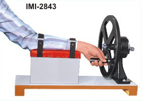 Upper-extremity Exercise Station: Age Group: Elders